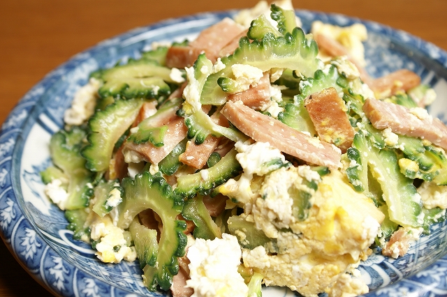 8 de maio – Dia do Goyá