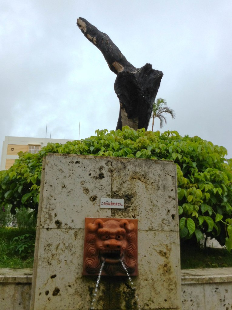 Pedaço de árvore que restou após o acidente